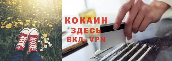 сатива Армянск