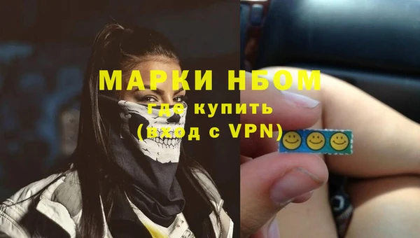 сатива Армянск