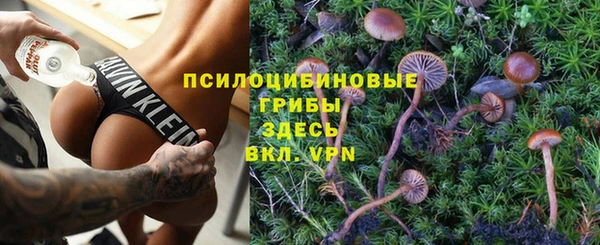 МДПВ Аркадак