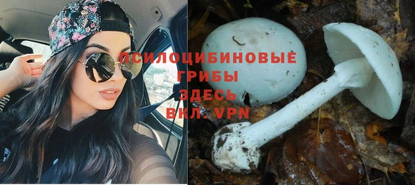 МДПВ Аркадак