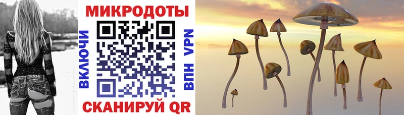 Галлюциногенные грибы мухоморы  Купить закладки  Гороховец 